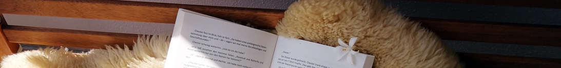 buchidee Ein Buch kommt auf die Welt: Buchhebamme: Ich arbeite als Schreibcoach, Buchhebamme, Lektorin. Gern für Selfpublisher, Selfpublishing, ein eigenes Buch schreiben, Buch veröffentlichen. Autorin werden, Autor werden,