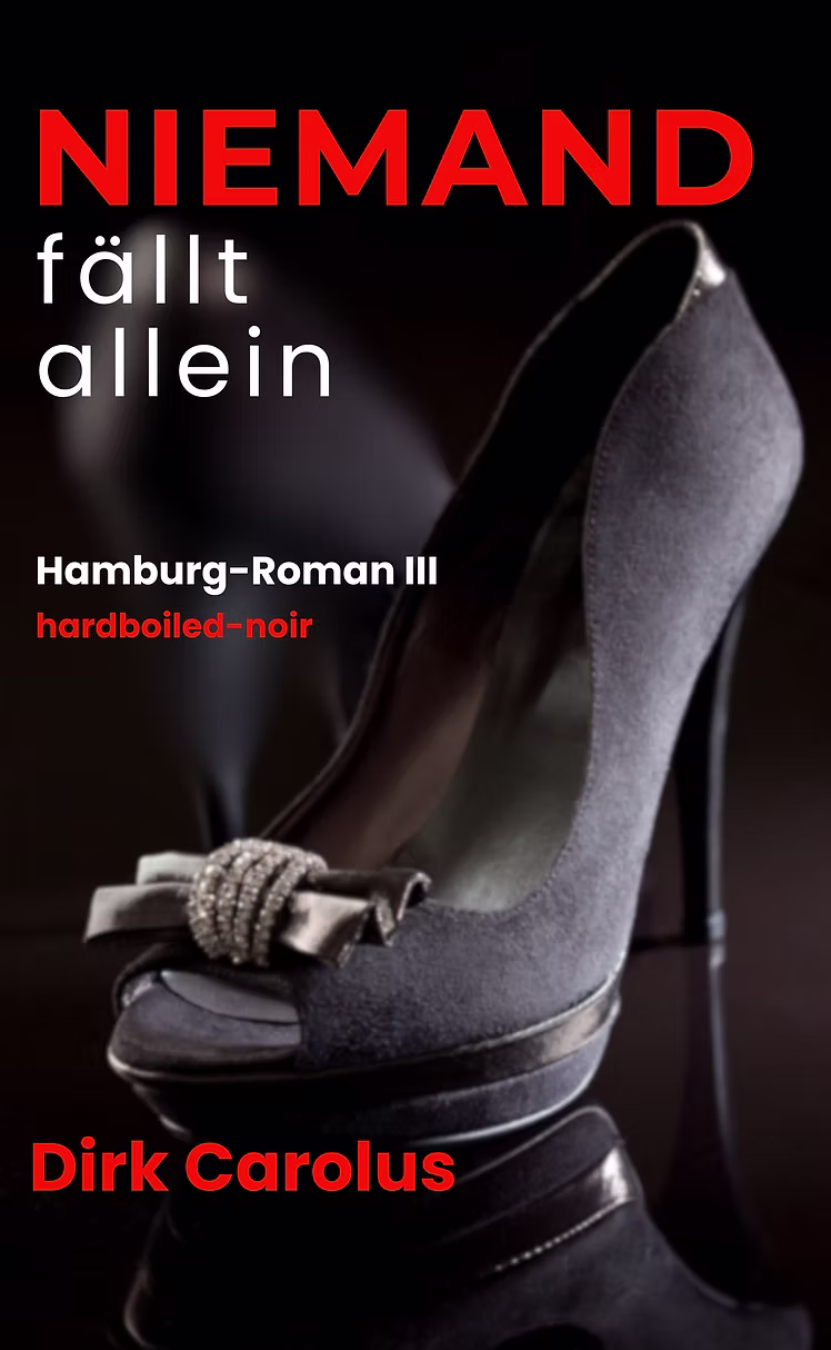 Buchcover Niemand fällt allein von Dirk Carolus